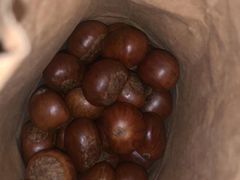 糖炒栗子-秋栗香(地安门店)