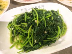 地瓜叶-四川小胡子海鲜(丁村万人海鲜广场店)