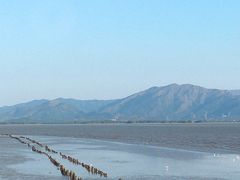 -深圳湾公园(南山区)