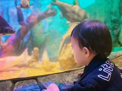 -沈阳海洋探索中心