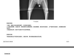 -泰洋动物医院·神经专科·磁共振·CT(天河公园总院)
