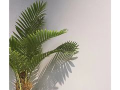 -肥安娜·小吃·饮品