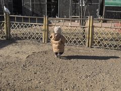 -1982农场