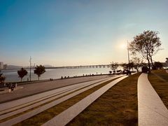 -宝安西湾红树林湿地公园