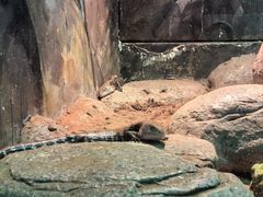 -福州罗源湾海洋世界旅游区