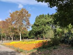 -共青国家森林公园-售票处