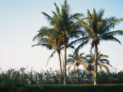 -白沙门生态公园