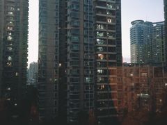 -维也纳国际酒店(深圳新洲店)