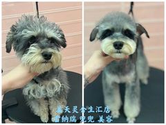 -FAELING PETS美天灵宠物(合生汇店)