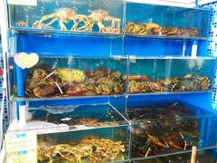 -蚝专家(北滘店)