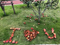 -上海财经大学(国定路校区)