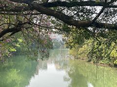 -小洲村
