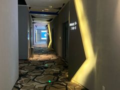-星河寰宇IMAX影城(星河WORLD·COCO Park店)