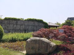 -嘉定紫藤园