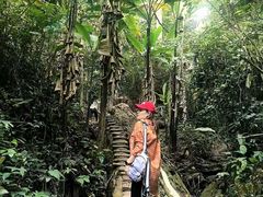 -西双版纳基诺山寨