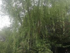 -白马涧龙池景区