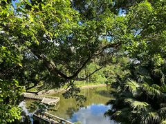 -深圳仙湖植物园