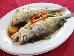 -蛇口康乐快餐鱼仔档(翠苑小区店)