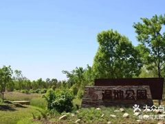 -东郊湿地公园