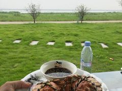 -七的湖·晚芳亭·阳澄湖农家菜·大闸蟹(莲花岛店)