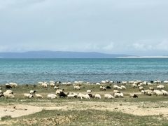 -青海湖国家重点风景名胜区