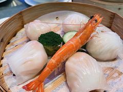 -和苑·精致粤菜(珠江新城店)