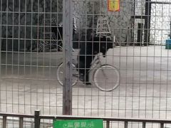 -贵州森林野生动物园
