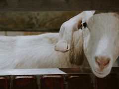 -上海大自然野生昆虫馆(东方明珠·爬宠昆虫探索中心)