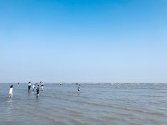 -南汇嘴观海公园