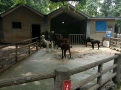 -昆明动物园