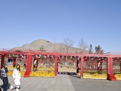 -大同市大剧院