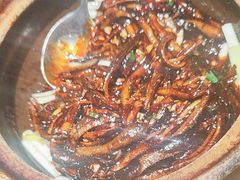 -肆月河豚·新淮扬(金融街店)
