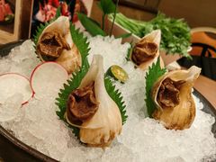 冰镇鲜海螺-協成海鮮火鍋(老店)