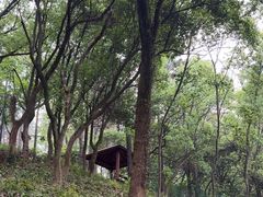 -临平公园(临平街道)