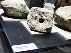 -烟台市博物馆