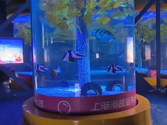 -上海海昌海洋公园