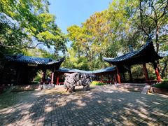 -赭山公园