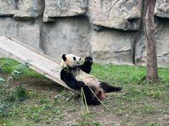 -上海野生动物园