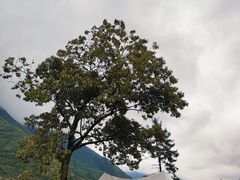 -石棉县孟获城