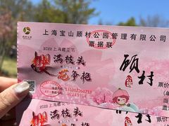 -顾村公园
