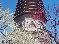 -玲珑塔公园