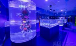 -七巧国萌宠乐园(龙湖天街店)