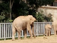 -石家庄市动物园