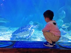 -上海长江河口科技馆