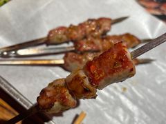 炭烤锡盟羊肉串-火联烧烤(学院路创始店)