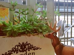 -PAGEONE(北京坊店)