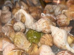 -食百绚全日制餐厅(成都棕榈泉费尔蒙酒店)