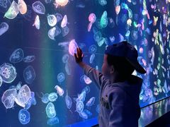 -海合安成都极地海洋公园