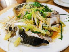 清蒸大鱼头-众源美食(光复阁店)