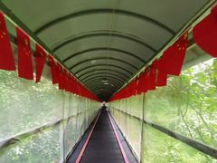 -香炉山国家森林公园